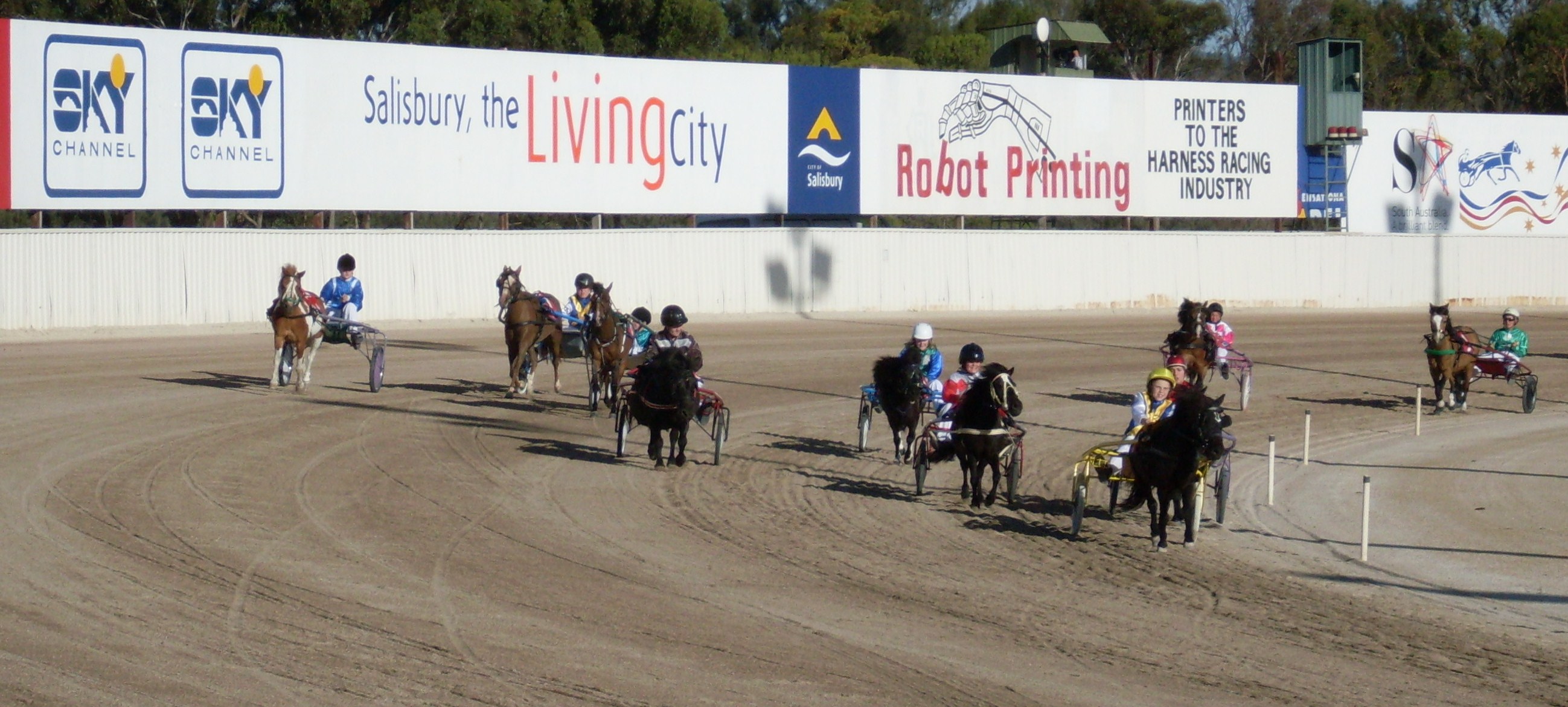 SA Harness Racing Pony Association